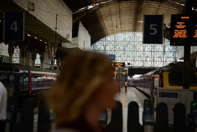 DSC_2515 (Large).JPG